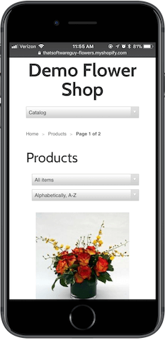 Shopify Demo - iPhone